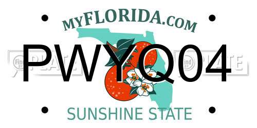PWYQ04 Florida License Plate