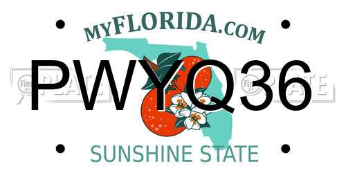PWYQ36 Florida License Plate