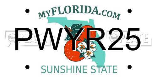 PWYR25 Florida License Plate