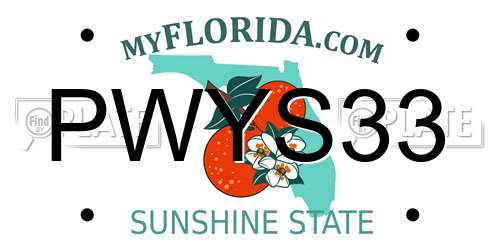 PWYS33 Florida License Plate