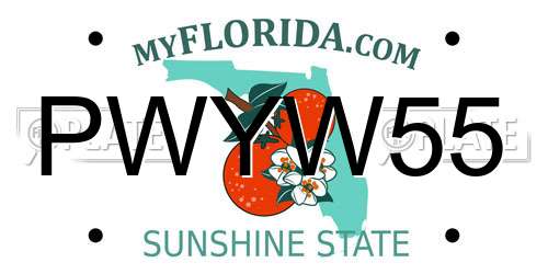 PWYW55 Florida License Plate