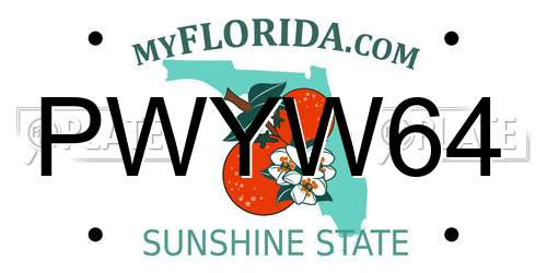 PWYW64 Florida License Plate