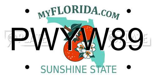 PWYW89 Florida License Plate