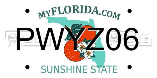 PWYZ06 Florida License Plate