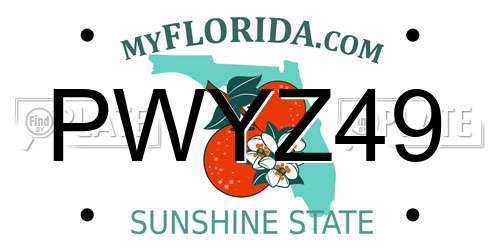 PWYZ49 Florida License Plate