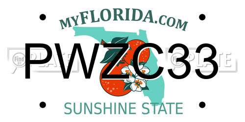 PWZC33 Florida License Plate