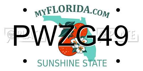 PWZG49 Florida License Plate