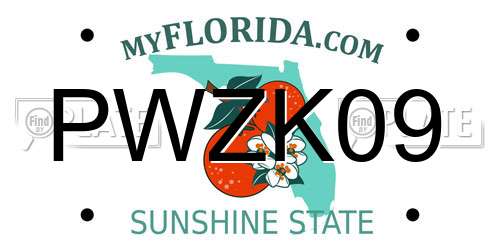 PWZK09 Florida License Plate