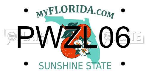 PWZL06 Florida License Plate