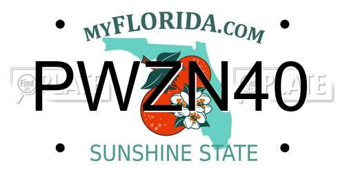 PWZN40 Florida License Plate