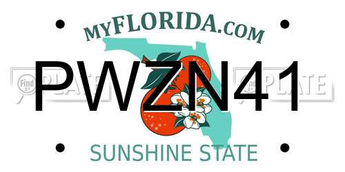 PWZN41 Florida License Plate