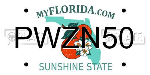 PWZN50 Florida License Plate