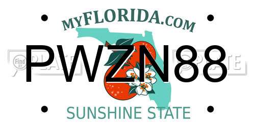 PWZN88 Florida License Plate