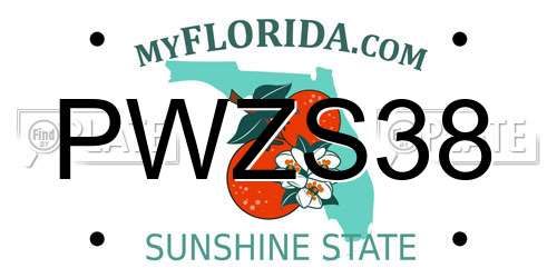 PWZS38 Florida License Plate