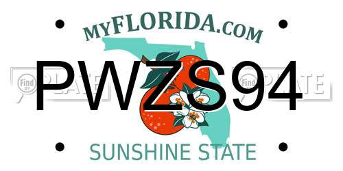 PWZS94 Florida License Plate