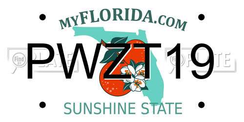 PWZT19 Florida License Plate