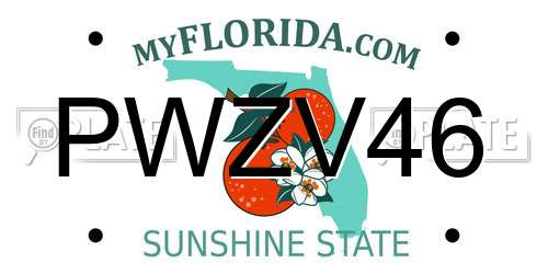 PWZV46 Florida License Plate
