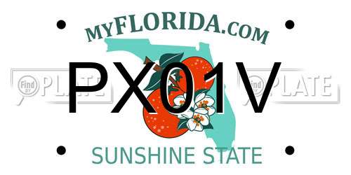 PX01V Florida License Plate