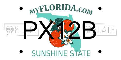 PX12B Florida License Plate