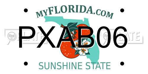 PXAB06 Florida License Plate