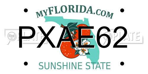 PXAE62 Florida License Plate