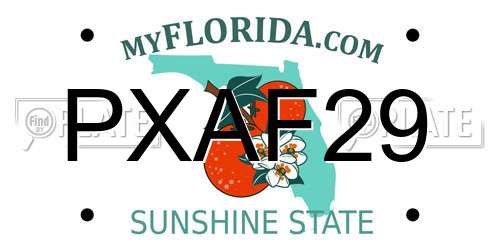 PXAF29 Florida License Plate