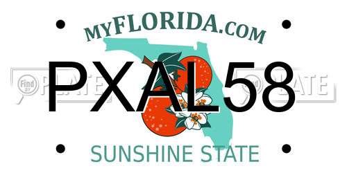 PXAL58 Florida License Plate