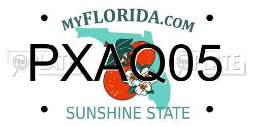 PXAQ05 Florida License Plate