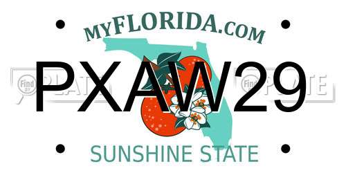 PXAW29 Florida License Plate