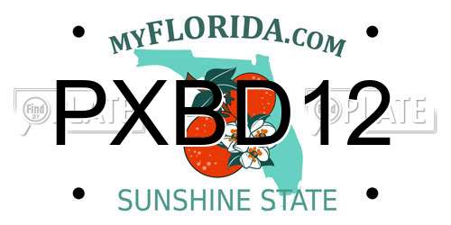PXBD12 Florida License Plate