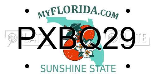 PXBQ29 Florida License Plate