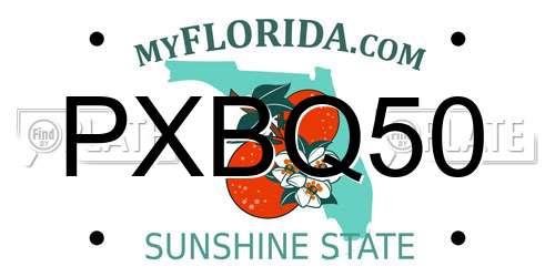 PXBQ50 Florida License Plate
