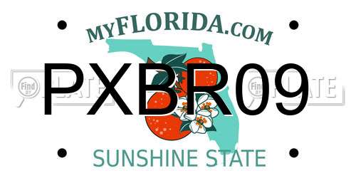 PXBR09 Florida License Plate