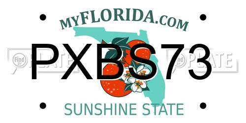 PXBS73 Florida License Plate