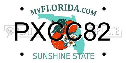 PXCC82 Florida License Plate