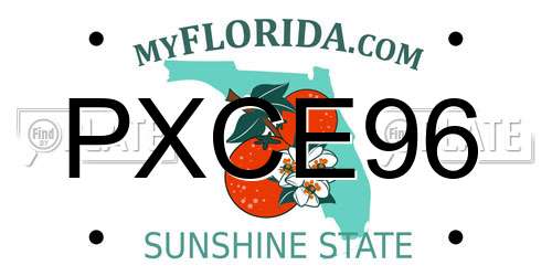 PXCE96 Florida License Plate