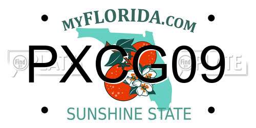 PXCG09 Florida License Plate