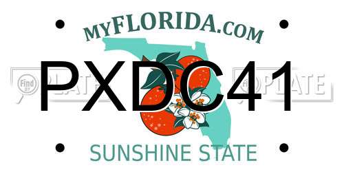 PXDC41 Florida License Plate