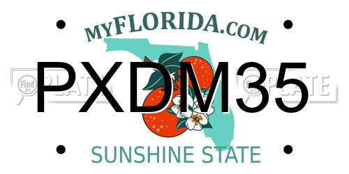 PXDM35 Florida License Plate