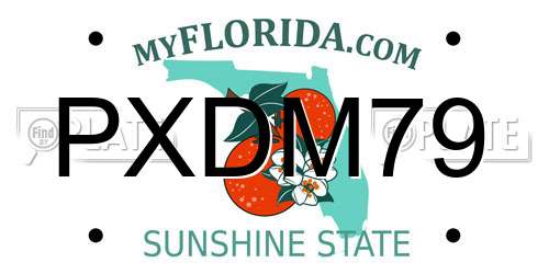 PXDM79 Florida License Plate