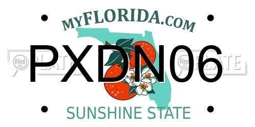 PXDN06 Florida License Plate