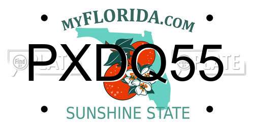 PXDQ55 Florida License Plate