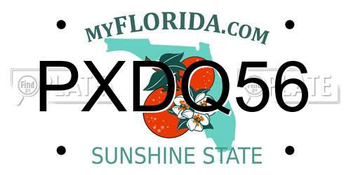 PXDQ56 Florida License Plate