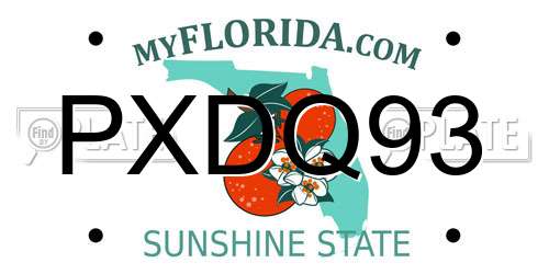 PXDQ93 Florida License Plate