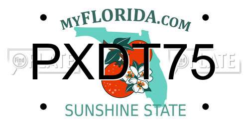 PXDT75 Florida License Plate