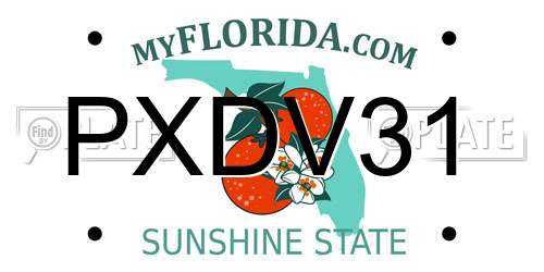 PXDV31 Florida License Plate