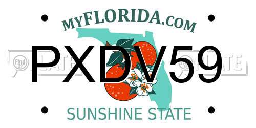 PXDV59 Florida License Plate