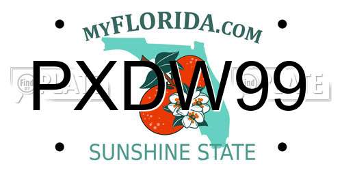 PXDW99 Florida License Plate