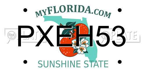 PXEH53 Florida License Plate