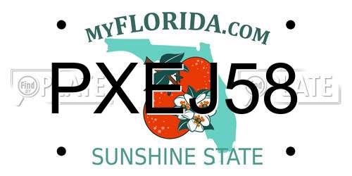 PXEJ58 Florida License Plate